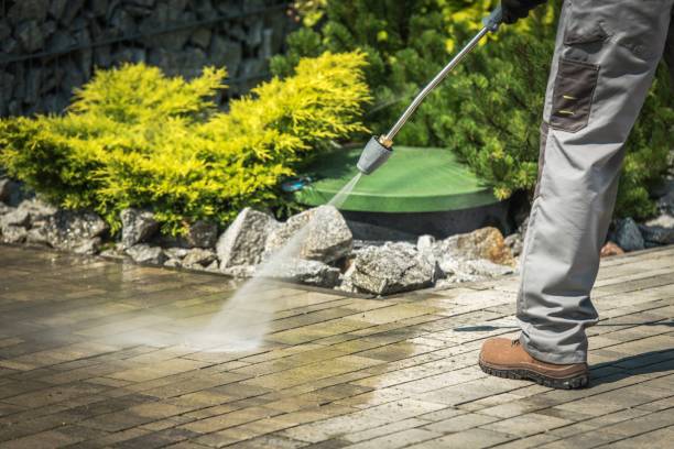 Best Solar Panel Cleaning  in Ventnor City, NJ